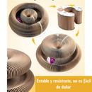 BRILIN®️ - Rascador para Gatos 3 en 1