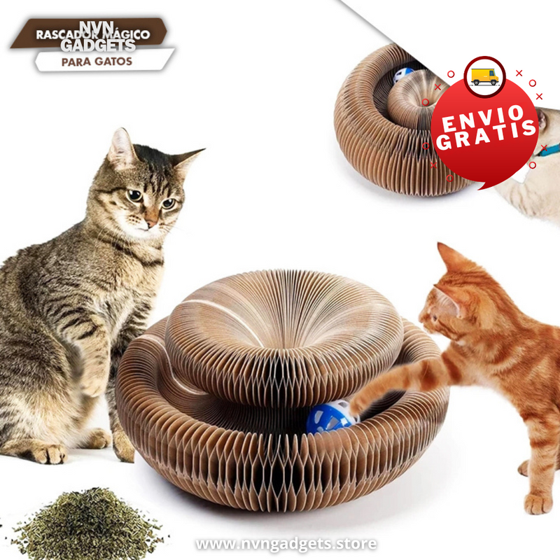 🐈RASCADOR MÁGICO PARA GATOS🐈